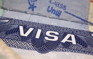 荷兰留学签证现在能办吗要多少钱