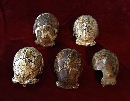 第一个发现北京人头盖骨化石的人是